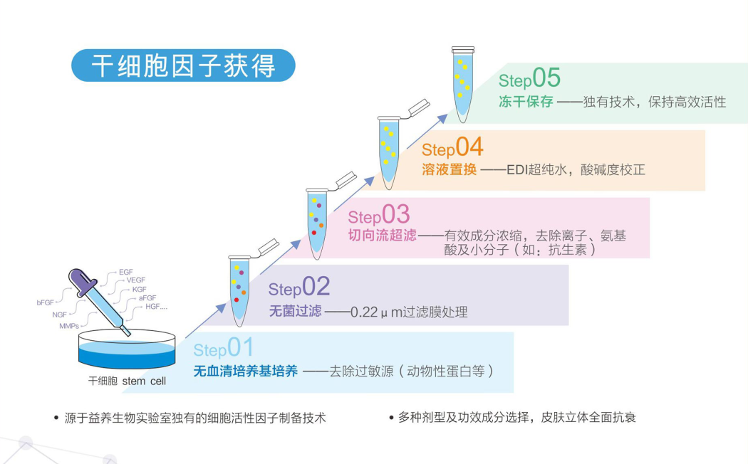 干细胞因子研究